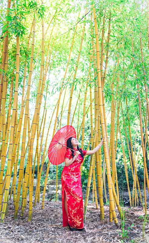 Bamboo Duke Garden Beauty Portrait